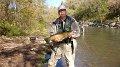 My first brown